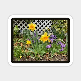 Spring Garden Magnet