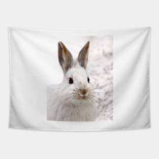 Snowshoe Hare closeup Tapestry