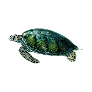 4K HD Sea Turtle T-Shirt