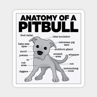 Anatomy Of A Pitbull Magnet