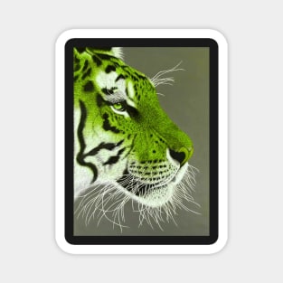 Lime green and white tiger Magnet