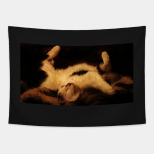 The Snooze Tapestry