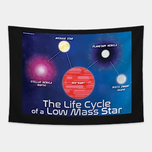 Low Mass Star Tapestry