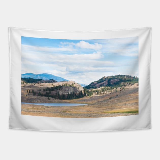 Desert Grasslands Blue Sky View Tapestry by Amy-K-Mitchell