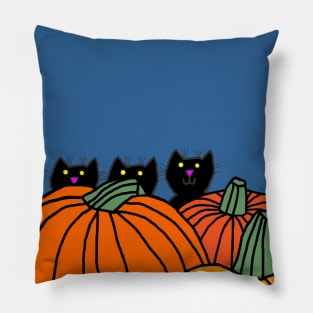 Kittens in the Pumpkin Patch with Blue Sky Pillow