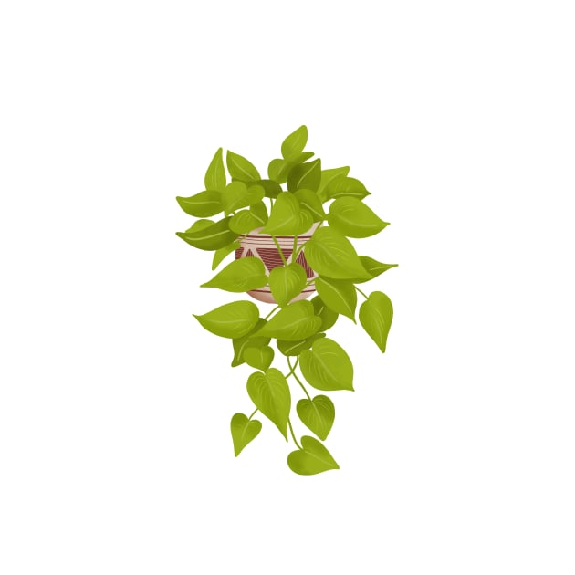 Neon Pothos Plant Illustration by gusstvaraonica