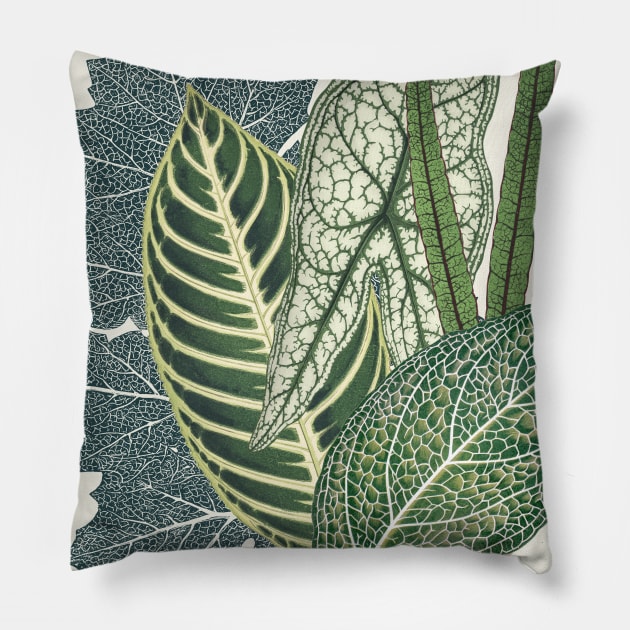 Green tropical leaves Pillow by CatyArte