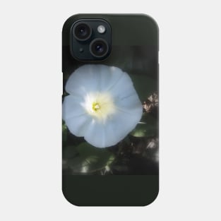 morning glory 3 Phone Case