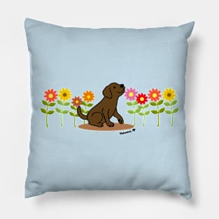 Chocolate Labrador and Flowers Pillow