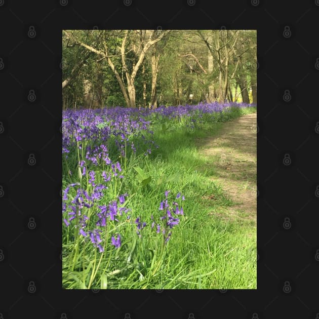 Woodland Bells - Bluebells Chiming in the Surrey Woods by Bucklandcrafts