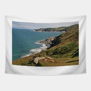 Rockham Bay & Bull Point, North Devon Tapestry