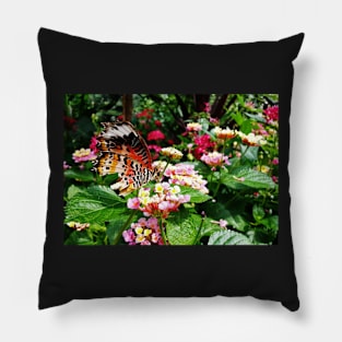 Torn Common Lacewing Butterfly (Cethosa biblis) Pillow