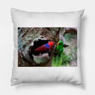 Pair Of Eclectus At The Nest Pillow