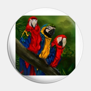 The Three Amigos Macaw Painting Pin