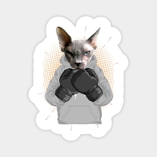 Boxing | Sphynx cat Magnet