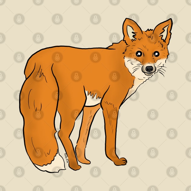 Red fox by doodletokki