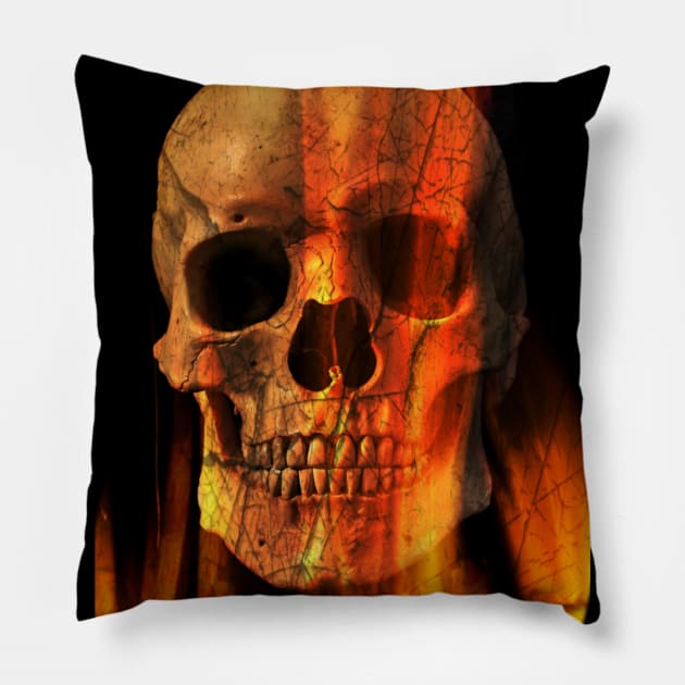 Burn in Hell Pillow by ProfessorJayTee