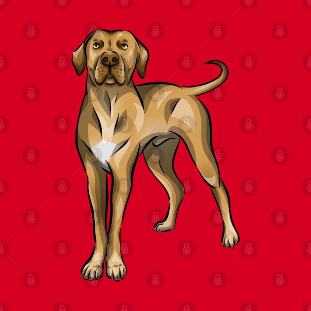 Cute Rhodesian Ridgeback Dog by Shirin Illustration