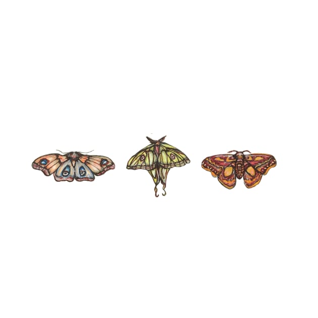 Moth Collection by corianndesigns