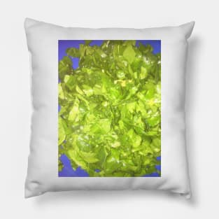 Chopped Baby Spinach With Garlic and Peppers Pillow