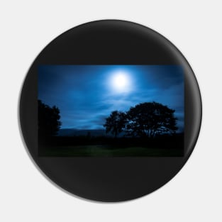 Beacons dance in the moonlight - 2013 Pin