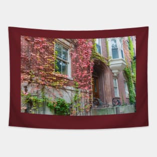 Victorian homes from street in Boston red brick exterior with Boston ivy in autumn colors Tapestry