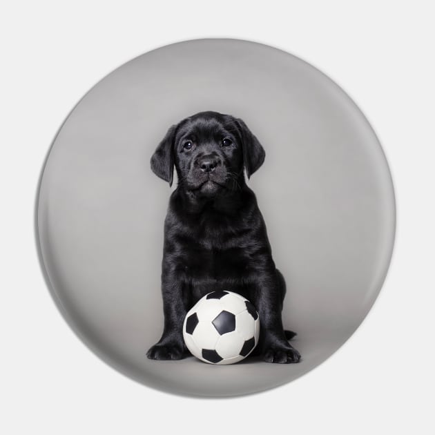 Labrador retriever puppy with ball Pin by PetsArt