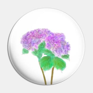 2 purple and pink hydrangeas Pin