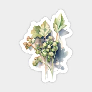 Watercolor Hops Magnet