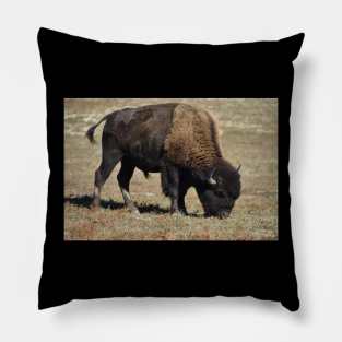 Wild Bison Pillow