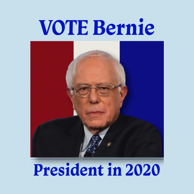 Vote Bernie 2020 by EspPhoenix