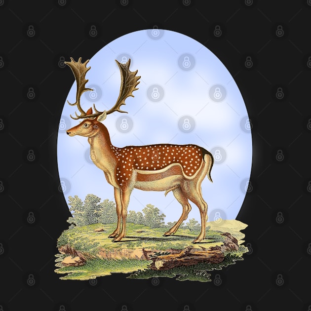 Fallow Deer Nature Illustration by Biophilia