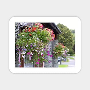 Hanging Baskets Magnet