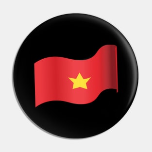 Vietnam Pin