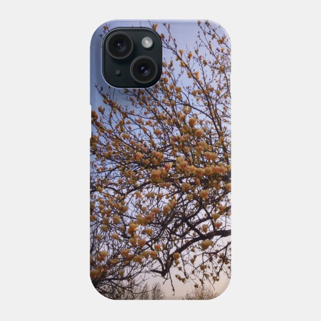 Spring flowers pictures, peach colors Phone Case by marghe41