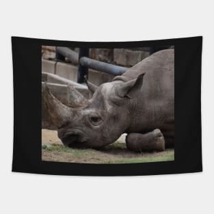 Black Rhino Tapestry