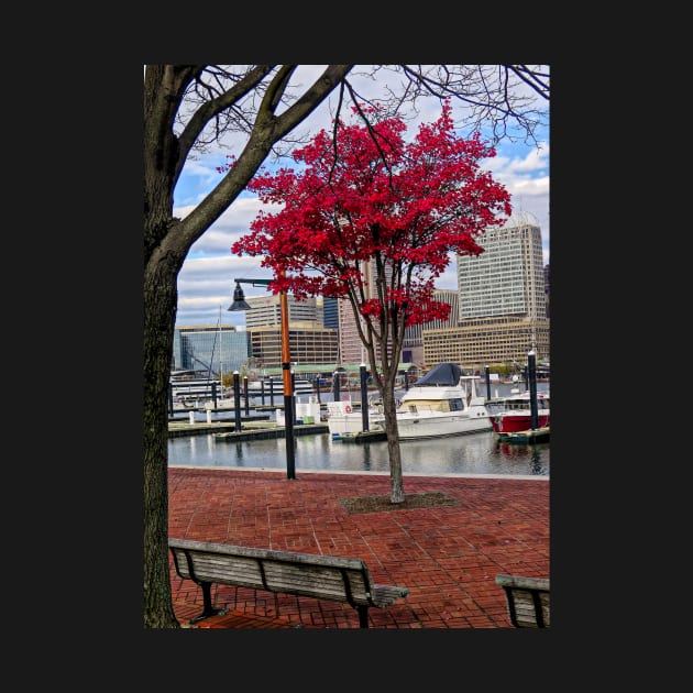 Red Maple and Red Boat by EileenMcVey