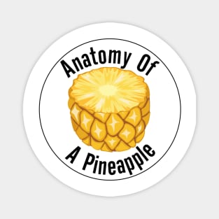 Anatomy of a Pineapple Magnet