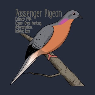 Extinct Species: Passenger Pigeon T-Shirt