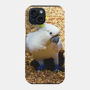 This is my good side! Phone Case