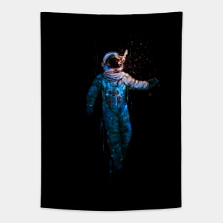 breakthrough. astronaut. Tapestry