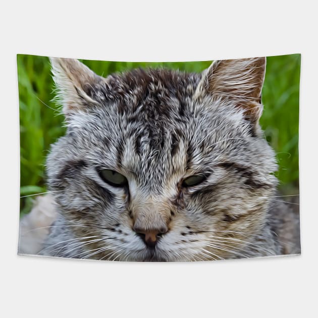 Close-up of a cat's muzzle Tapestry by EvgeniiV