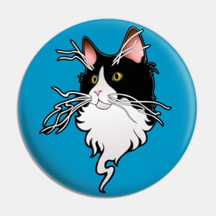 Ash, the kitty with the whiskers Pin