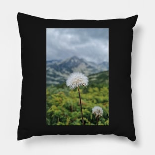 Mountain Dandelion Pillow