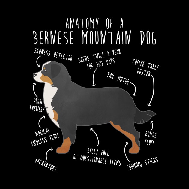 Bernese Mountain Dog Anatomy by Psitta