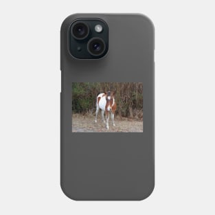 Wild horses, wildlife, Assateague, Island Babe Phone Case