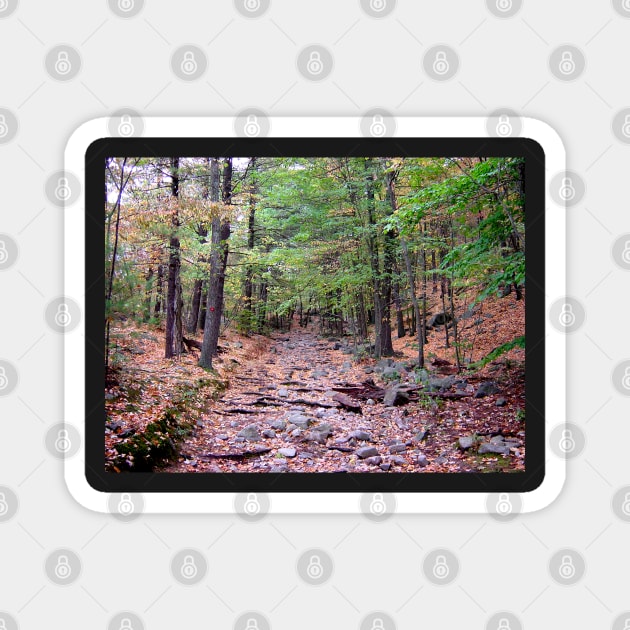 Autumn on Blue Hills Reservation Red Dot Trail Magnet by H. R. Sinclair