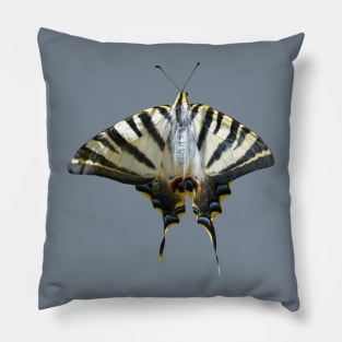 Papilio Machaon Common Yellow Swallowtail Cut Out Pillow