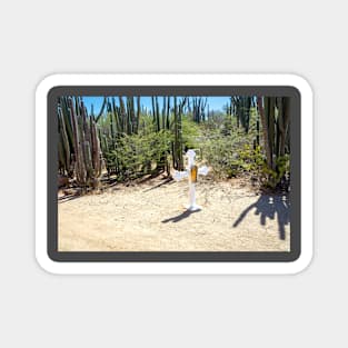 Station of the Cross - Alto Vista Chapel - Aruba Magnet