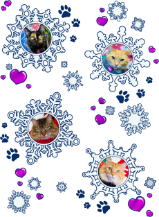 Ugly Cutie Cat Winter Sweater Magnet